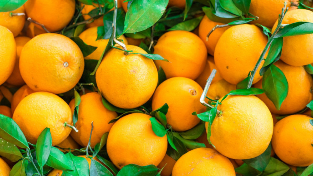 Цікаві факти про апельсини