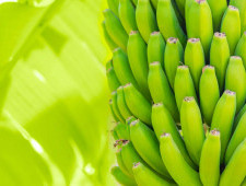 Цікаві факти про банани
