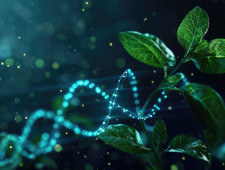 Цікаві факти про біологію