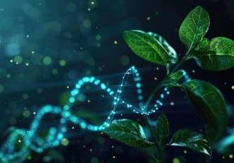 Цікаві факти про біологію