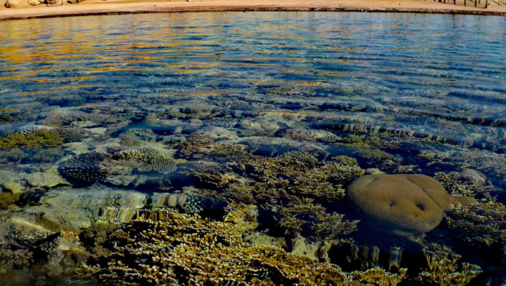 Цікаві факти про Червоне море