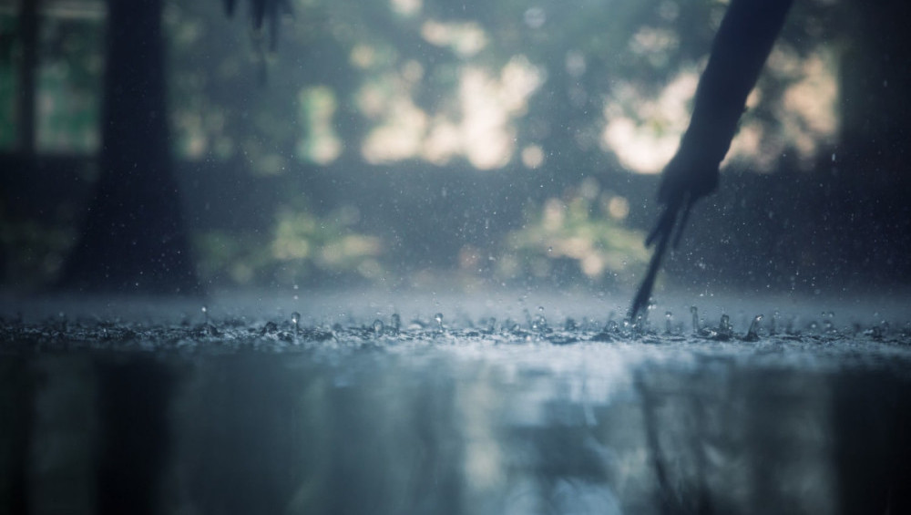 Цікаві факти про дощ