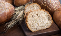 Цікаві факти про хліб