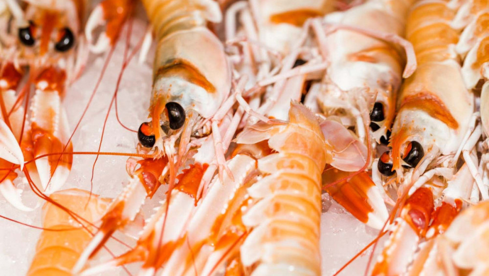 Цікаві факти про креветки