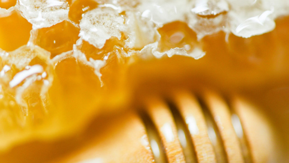 Цікаві факти про мед