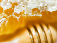 Цікаві факти про мед