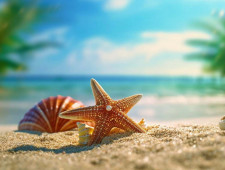 Цікаві факти про морські зірки