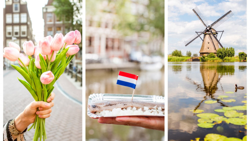 Цікаві факти про Нідерланди