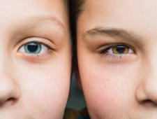 Цікаві факти про очі та зір
