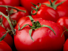 Цікаві факти про помідори