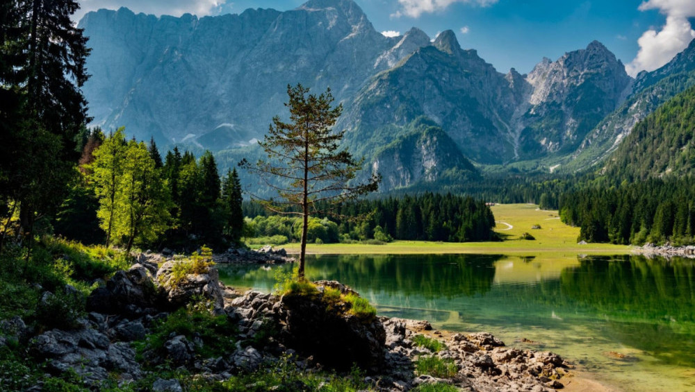 Цікаві факти про природу