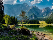 Цікаві факти про природу