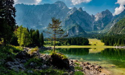 Цікаві факти про природу