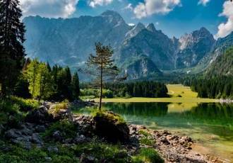 Цікаві факти про природу