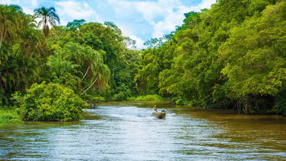 Цікаві факти про річку Конго