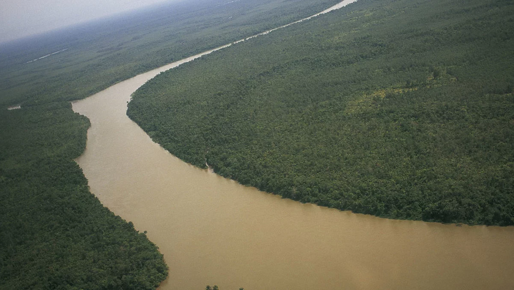 Цікаві факти про річку Нігер