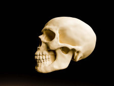 Цікаві факти про скелет та кістки