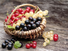 Цікаві факти про смородину