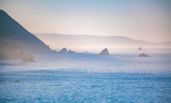 Цікаві факти про Тихий океан