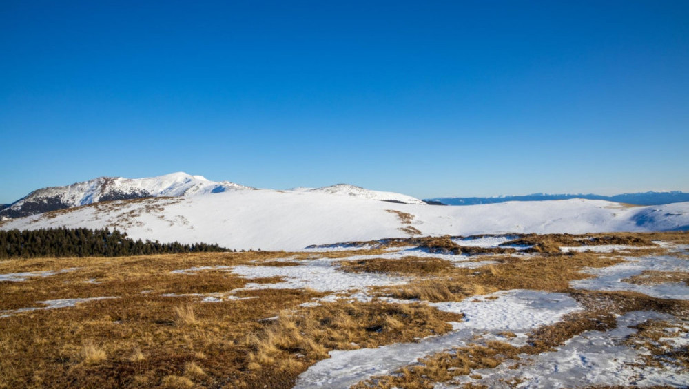 Цікаві факти про тундру