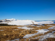 Цікаві факти про тундру