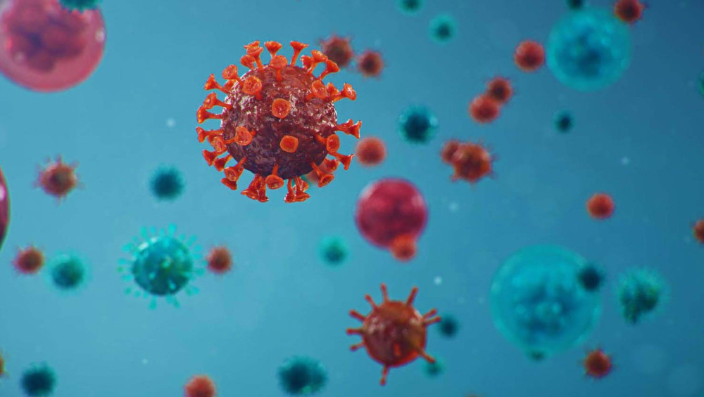 Цікаві факти про віруси