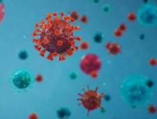 Цікаві факти про віруси