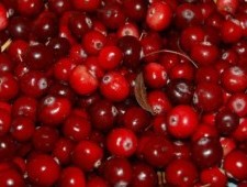 Цікаві факти про журавлину