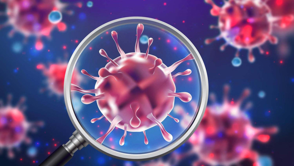 Чи схожі віруси один на одного?