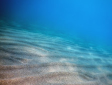 Чому моря та океани мають різні кольори