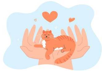 Чому муркочуть коти і що це означає?