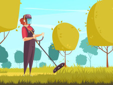 Як часто варто косити траву в саду