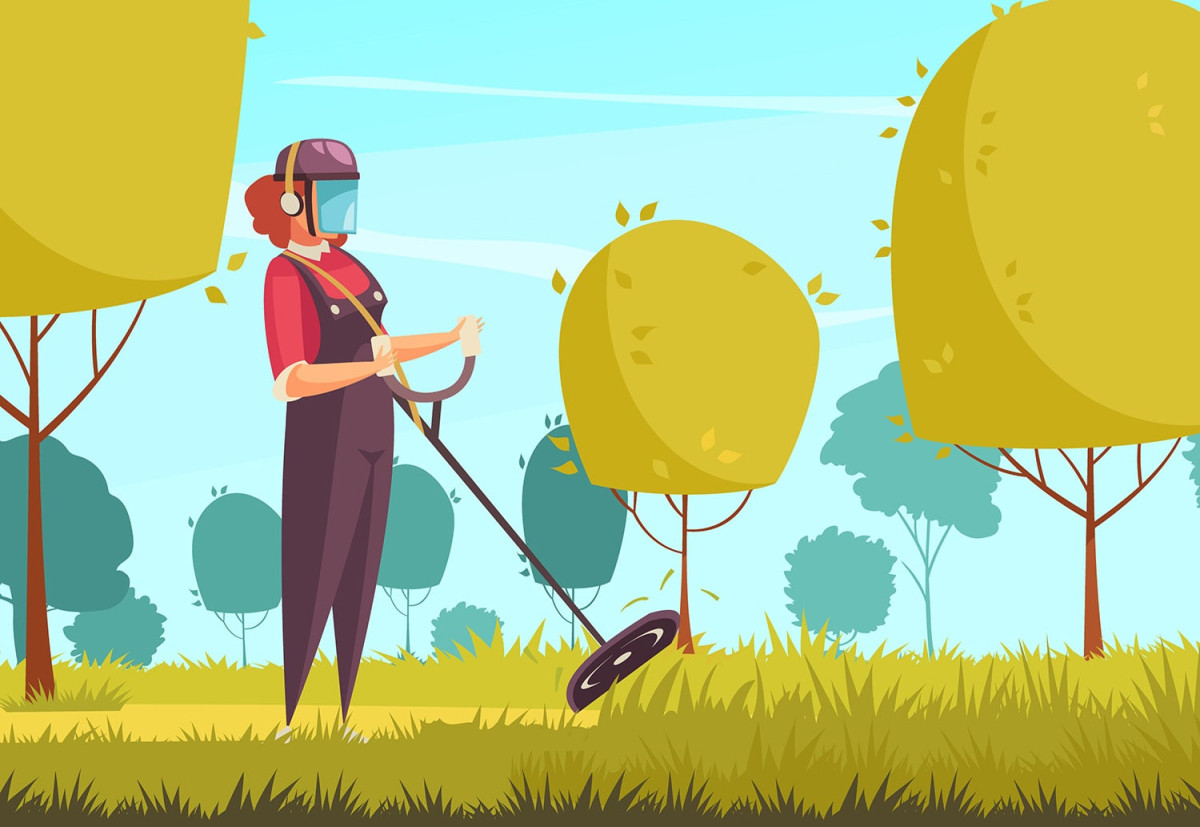 Як часто варто косити траву в саду