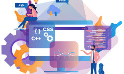 Як індивідуальна розробка стає ключем до масштабування бізнесу