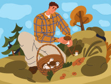 Коли можна збирати гриби та де їх шукати?