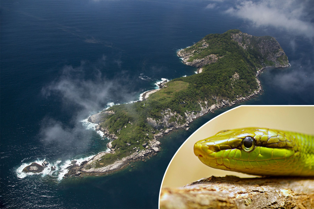 Острів Кеймада-Гранді, Бразилія