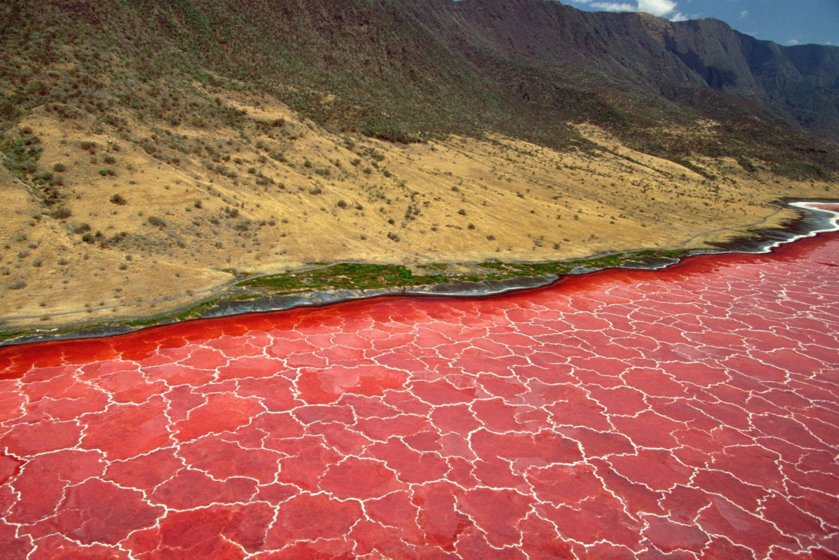 Озеро Натрон, Танзанія